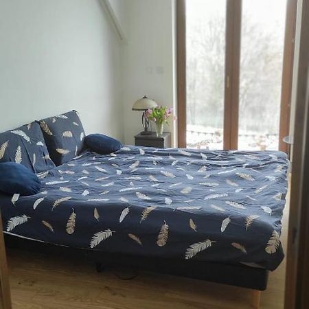 Helena Apartment Liszki ภายนอก รูปภาพ